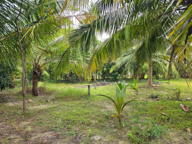 land-for-sale-in-jaffna-nunavil-big-0
