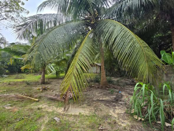 land-for-sale-in-jaffna-nunavil-big-1