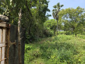 land-for-sale-in-ilavalai-jaffna-small-0