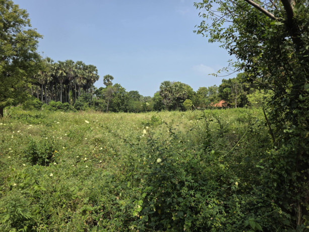 land-for-sale-in-ilavalai-jaffna-big-1