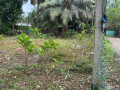 land-for-sale-in-urumpirai-jaffna-small-0