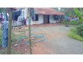 land-for-sale-in-urelu-jaffna-small-0