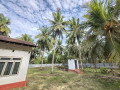 house-for-sale-in-kodikamam-small-2