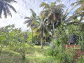 house-for-sale-in-kodikamam-small-3