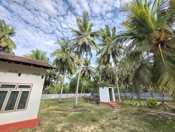 house-for-sale-in-kodikamam-big-2