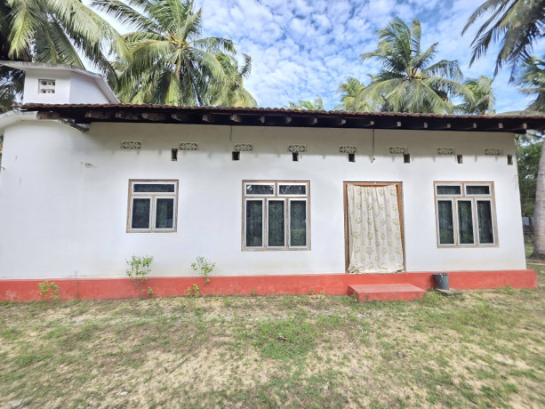 house-for-sale-in-kodikamam-big-1