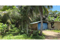 land-for-sale-in-tellippalai-small-0