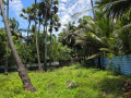 land-for-sale-in-tellippalai-small-1