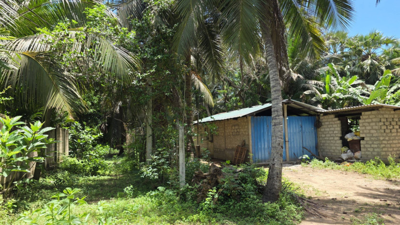 land-for-sale-in-tellippalai-big-0