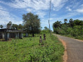 land-for-sale-in-tellippalai-small-0