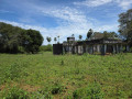 land-for-sale-in-tellippalai-small-2