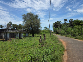Land for sale in Tellippalai