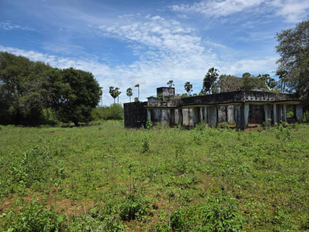 land-for-sale-in-tellippalai-big-2