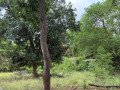 land-for-sale-in-achchuveli-small-1