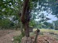 land-for-sale-in-achchuveli-small-0