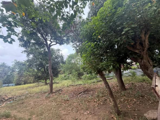 land-for-sale-in-achchuveli-big-3