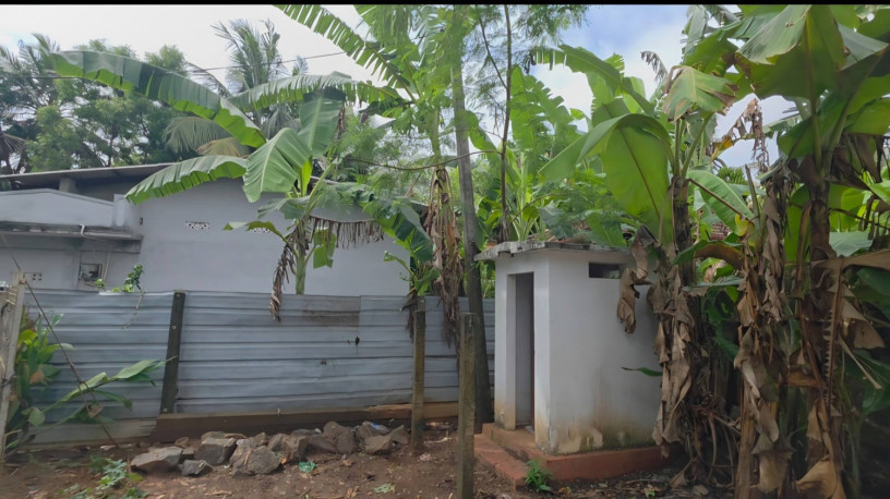 tirunelveli-house-for-sale-jaffna-big-0