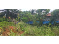 land-for-sale-in-tellippalai-jaffna-small-0