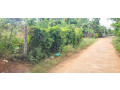 land-for-sale-in-tellippalai-jaffna-small-1