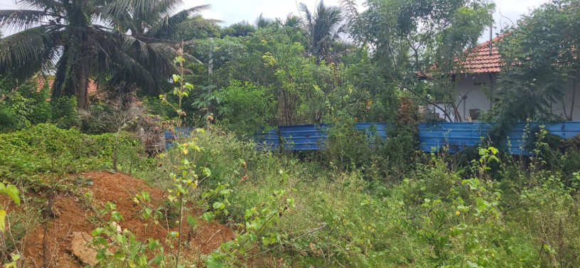 land-for-sale-in-tellippalai-jaffna-big-0