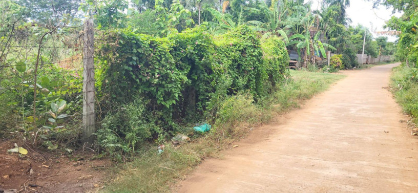 land-for-sale-in-tellippalai-jaffna-big-1