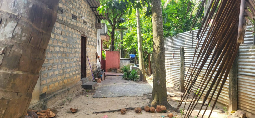 house-for-sale-in-alaveddy-big-0