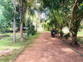 farm-land-sale-in-vavuniya-small-0