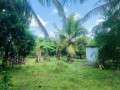 farm-land-sale-in-vavuniya-small-2