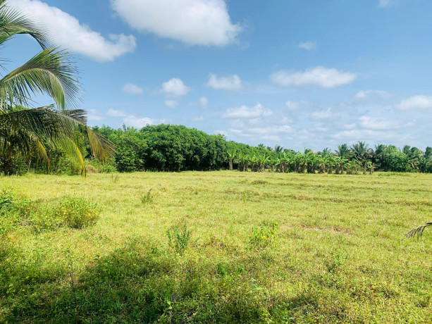 farm-land-sale-in-vavuniya-big-1