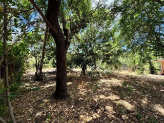 Land for sale in Tellippalai Pannakam