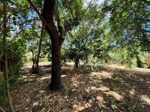 land-for-sale-in-tellippalai-pannakam-big-0