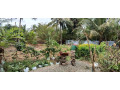 house-for-sale-in-vavuniya-small-2