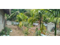house-for-sale-in-vavuniya-small-1
