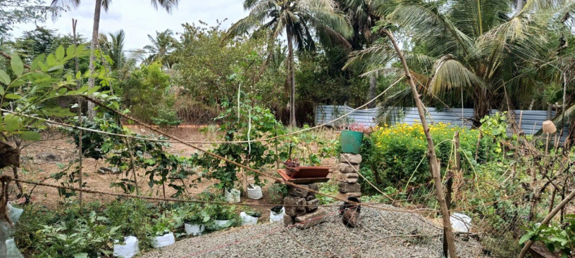 house-for-sale-in-vavuniya-big-2
