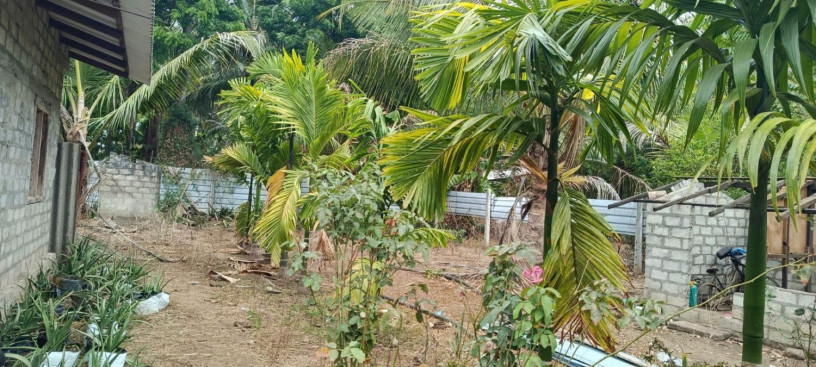 house-for-sale-in-vavuniya-big-1