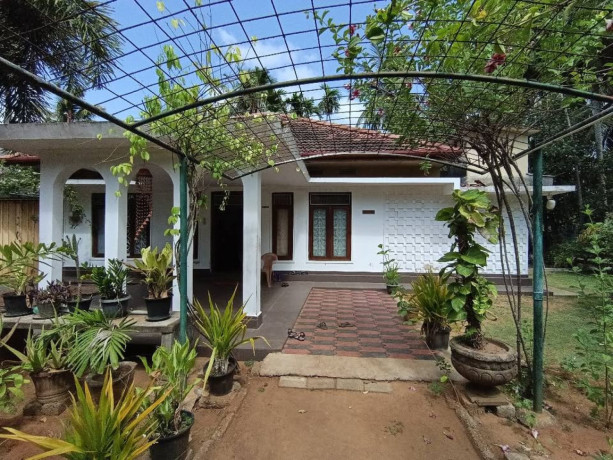 house-for-sale-in-jaffna-big-4