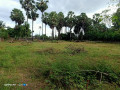 manipay-land-and-house-for-sale-small-0