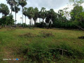 manipay-land-and-house-for-sale-small-2