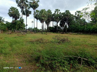 Manipay Land and house for sale
