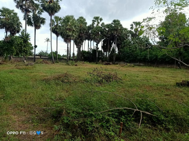 manipay-land-and-house-for-sale-big-2