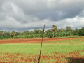 farm-land-for-sale-in-jaffna-punnalaikkadduvan-small-0