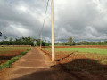 farm-land-for-sale-in-jaffna-punnalaikkadduvan-small-3