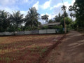 farm-land-for-sale-in-jaffna-punnalaikkadduvan-small-1