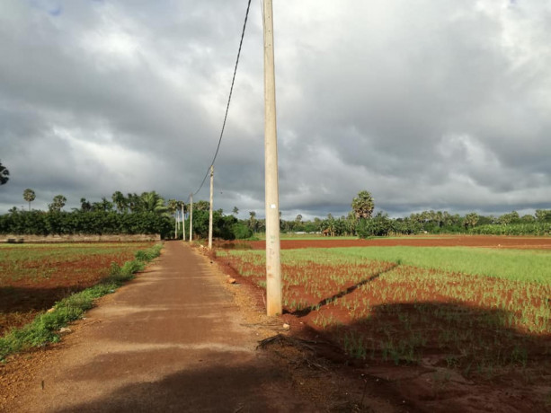 farm-land-for-sale-in-jaffna-punnalaikkadduvan-big-3