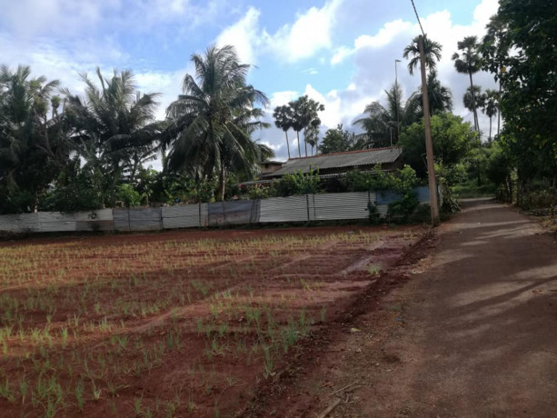 farm-land-for-sale-in-jaffna-punnalaikkadduvan-big-1
