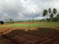 land-for-sale-in-urelu-jaffna-small-2