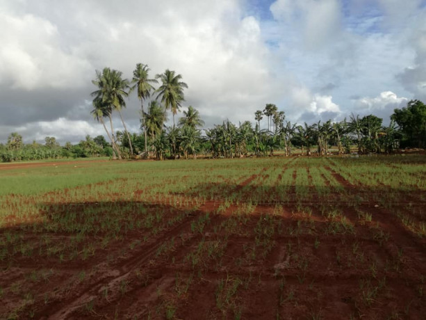 land-for-sale-in-urelu-jaffna-big-0