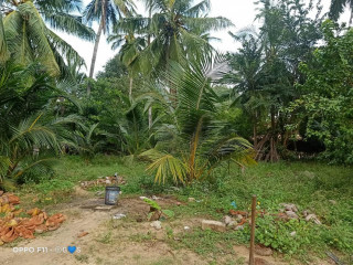 Land for sale in Mirusuvil