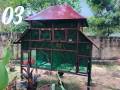 all-kind-of-pets-cages-making-in-jaffna-small-1
