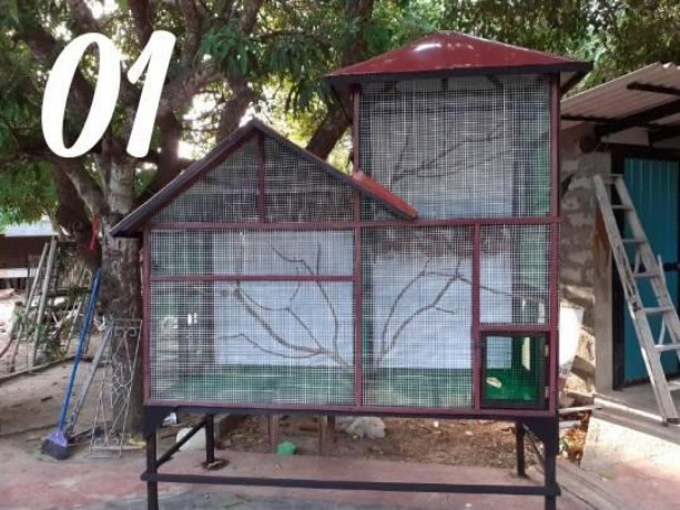 all-kind-of-pets-cages-making-in-jaffna-big-4